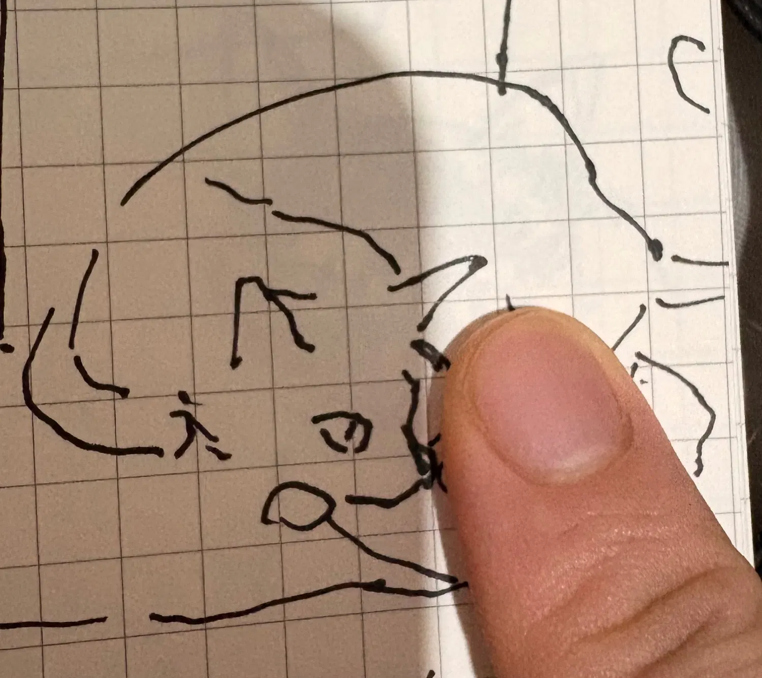 猫脸简笔画，还试图用手指挡住当然画错的部分但没挡住